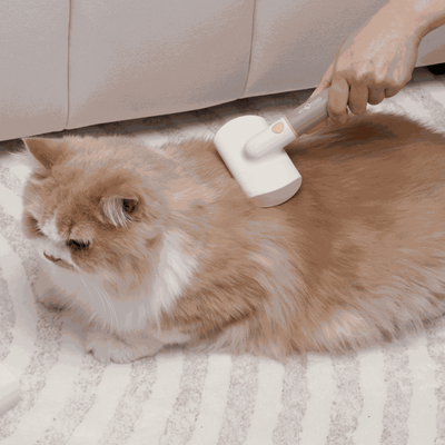 3-IN-1 Pet Grooming Kit in use on a fluffy cat with interchangeable brush head.