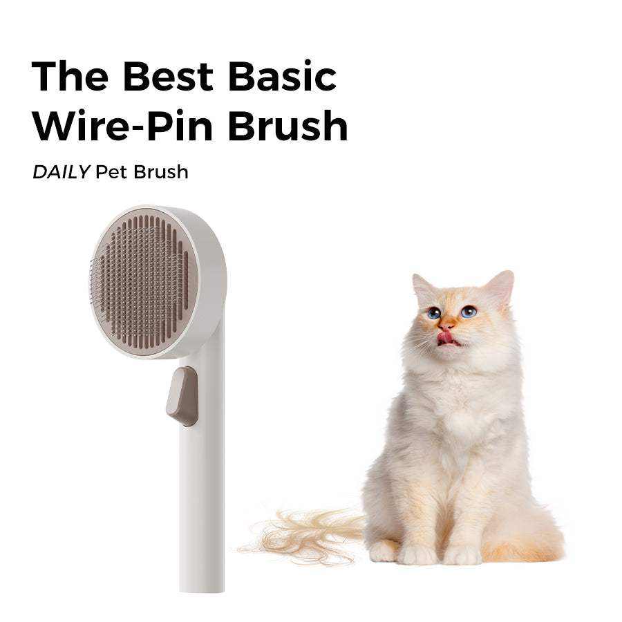 Daily Pet Brush with soothing bristles and easy-clean design next to a cat.