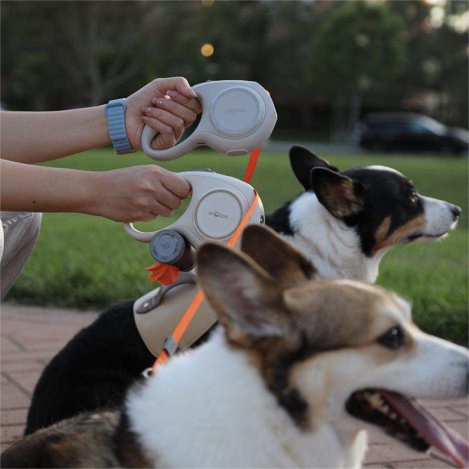 Two dogs on leashes with person holding PRO waste bags dispenser in a park setting.